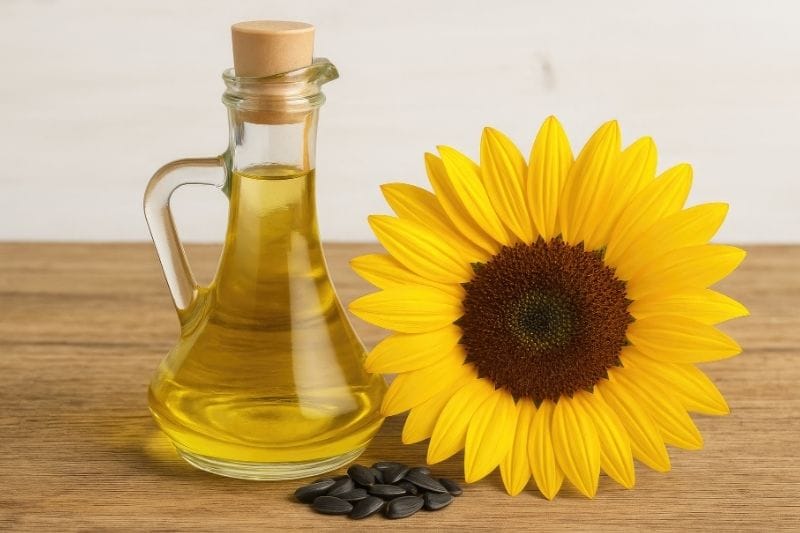 Are Seed Oils Bad For You?