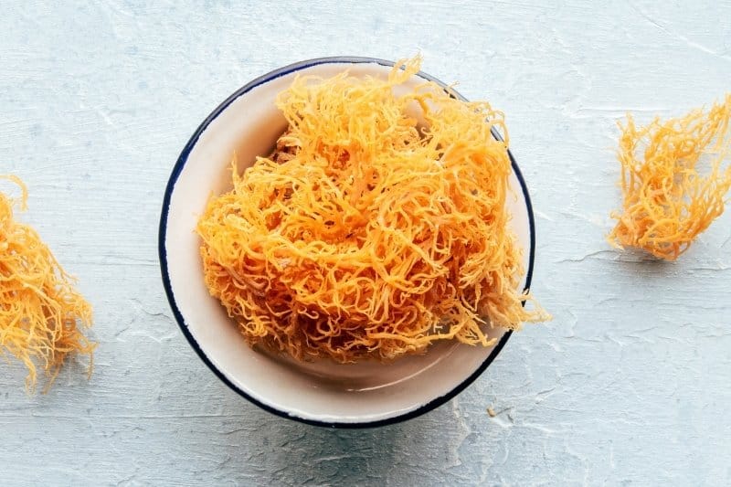 Does Sea Moss Help You Lose Weight?